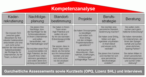 Kompetenzanalyse - ein Instrument fr viele Anwendungen im Human Resources Management